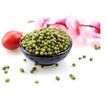 3.6-3.8mm puits Green mung bean pour la germination